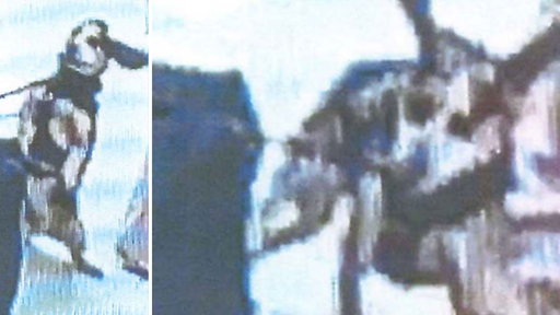 File:Freddie kicked.png