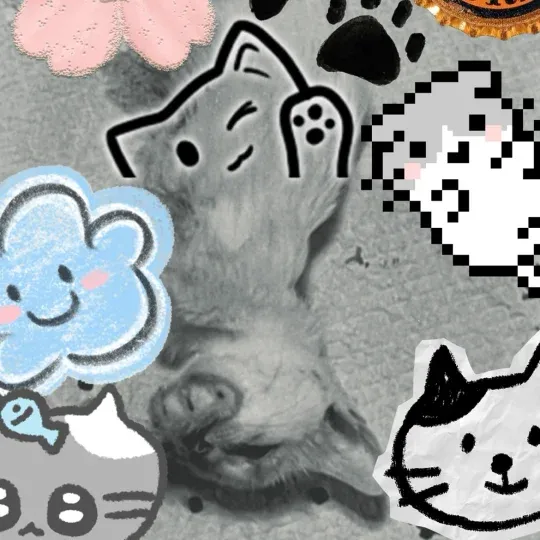 File:Xiaohongshu ID 26238804338.png