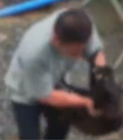 File:Guangzhou construction site dog killer.jpg