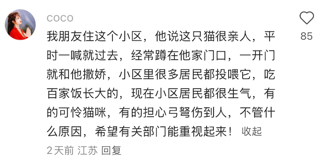 File:Yangzhou crossbow cat killing Xiaohongshu comment.png