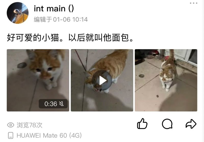 File:Tang Chong Yuan Linlin post.jpg