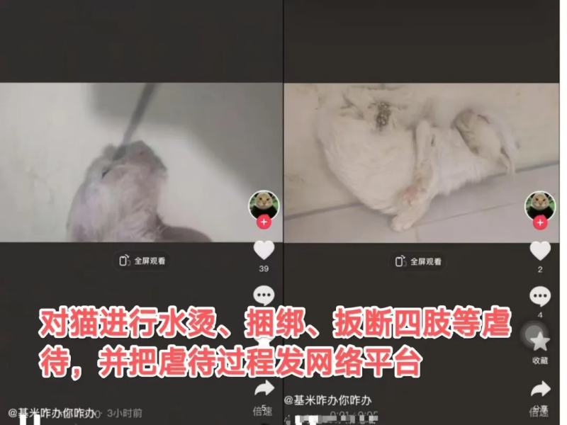 File:Douyin ID 89731062092 pic2.png