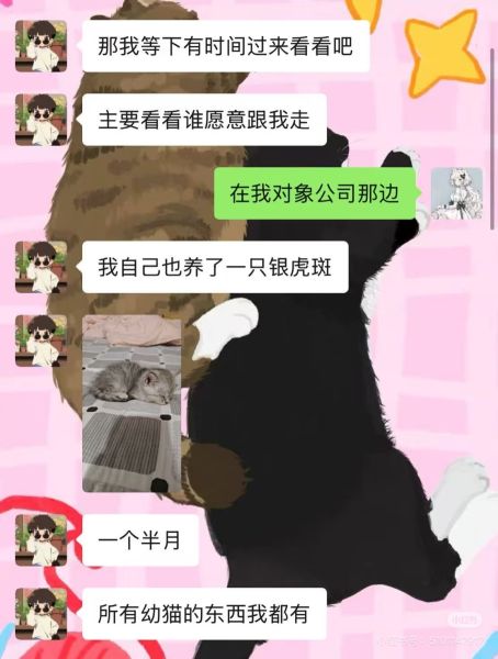 File:YangWei weixin2.jpg