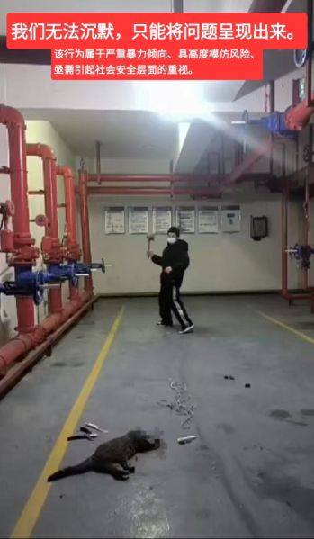 File:Zhao Kang Xu suspect.jpg