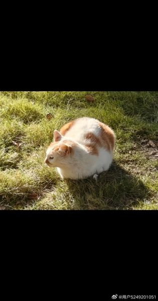 File:Xue Jie Pic 11.jpg