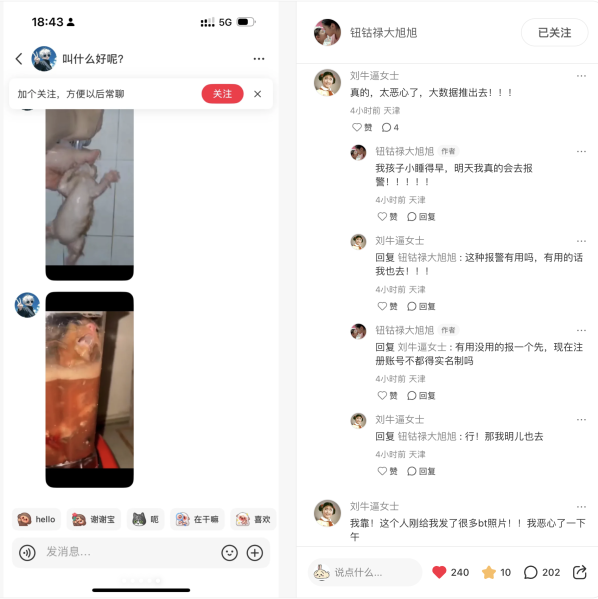 File:Xiaohongshu ID 42273517903 related post1.png