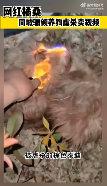 File:Li Xiang burning a dog.png