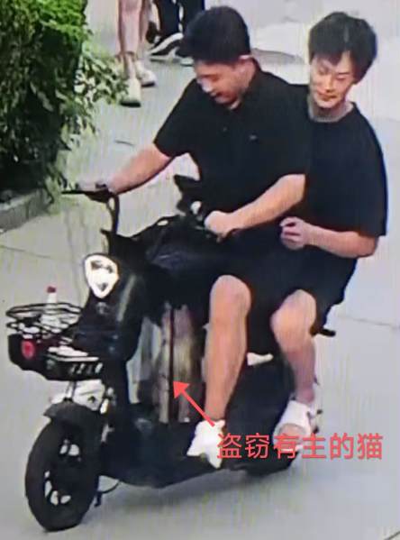 File:Weifang arsonists and cat killers.png