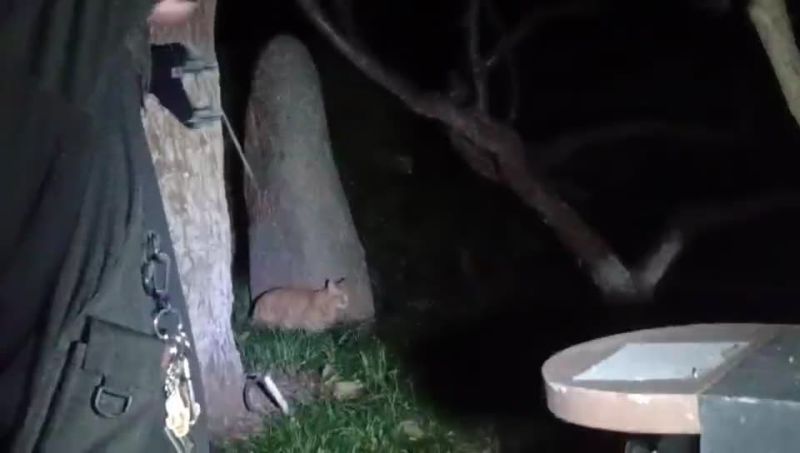 File:He Run Tian slingshot attack.jpg