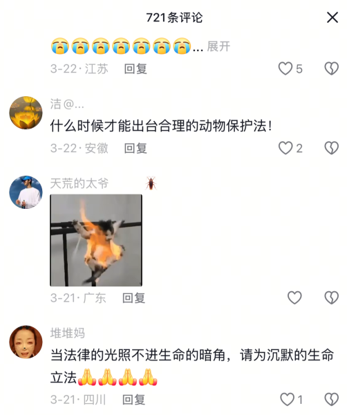 File:Douyin ID 48874731870 comment.png