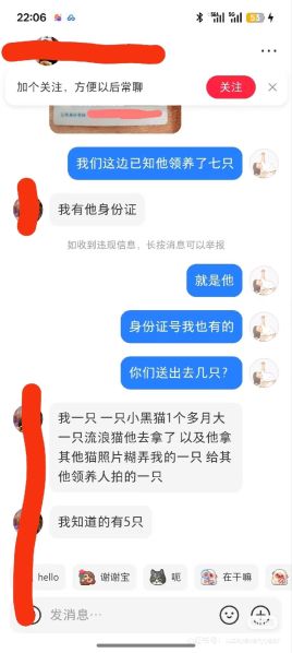 File:YangWei case related message.jpg