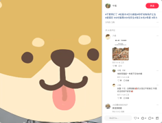 Hidden behind the cartoon dog picture, a cat is being tortured near a window, with constant screams in the background.