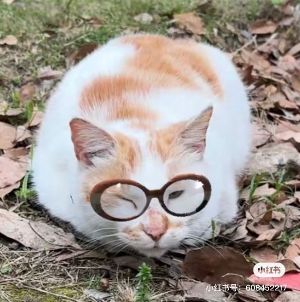 File:Xue Jie Pic 19.jpg