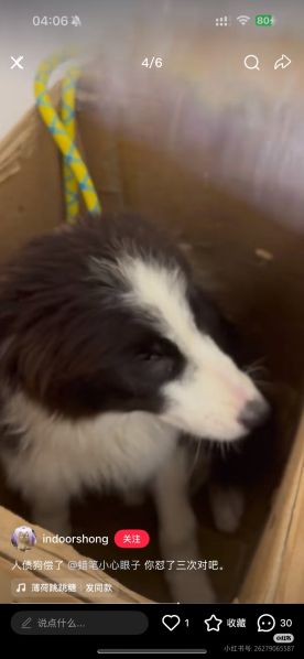 File:Xiaohongshu ID 95003574412 post.jpg