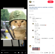 Hidden behind the meme picture, a lighter is seen setting a cat on fire, while a scream is heard.