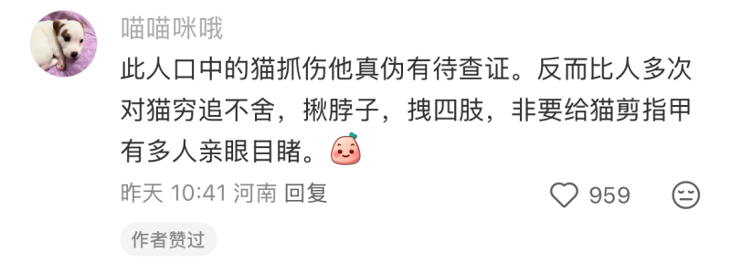 File:Tang Chong Yuan abuses cats.png