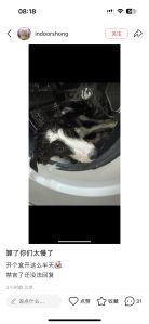 “Forget it, you guys are too slow — taking forever just to dox me.”