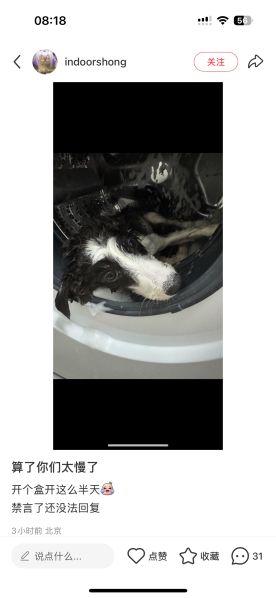 File:Xiaohongshu ID 95003574412 post 2.jpg