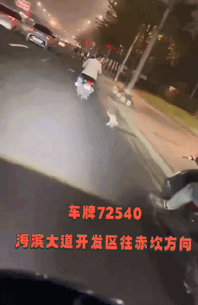 File:Xia Zhi Jiang dragging cat.gif