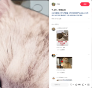 Hidden behind the picture in the foreground, a person is torturing a cat with tools, with screams audible in the background.