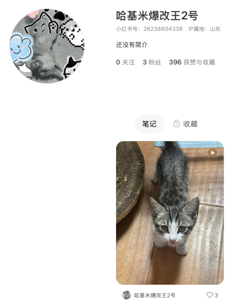 File:Xiaohongshu ID 26238804338 profile.png