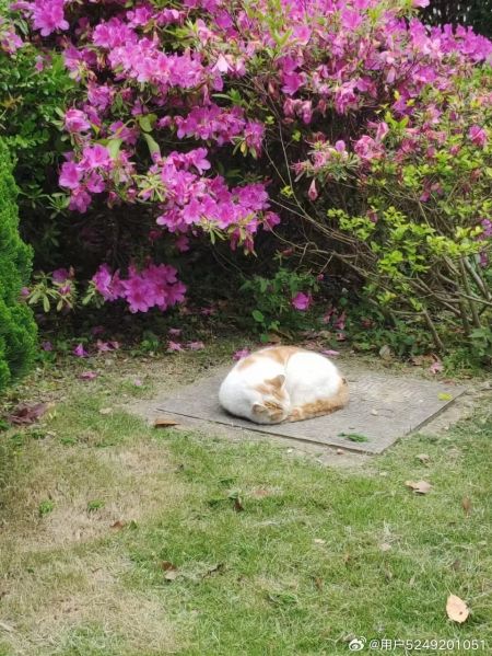 File:Xue Jie Pic 12.jpg