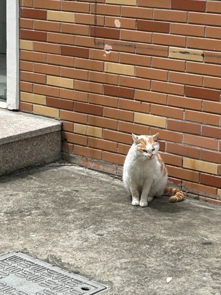 File:Xue Jie Pic 8.jpg