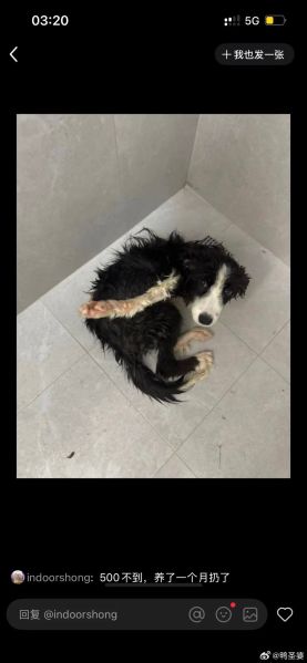 File:Xiaohongshu ID 95003574412 post 5.jpg