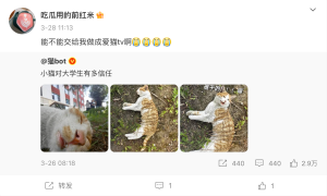 "Please give it to me to shoot aimaotv"