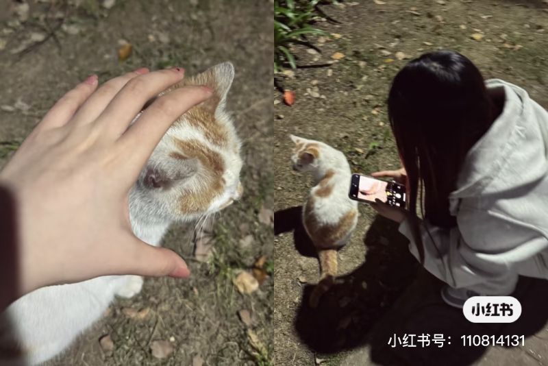 File:Xue Jie Pic 13.jpg