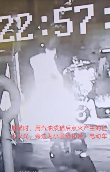 File:Weifang arson and cat killing.jpg