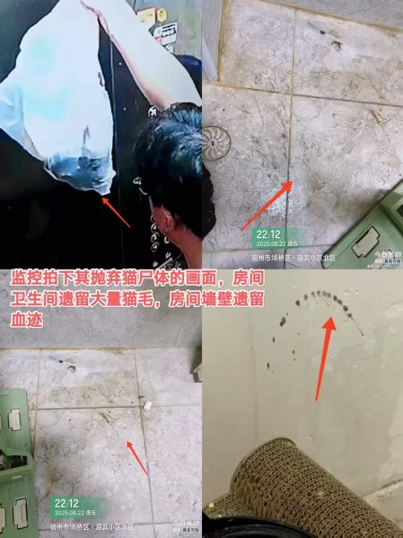 File:Xu Xin case evidence.jpg