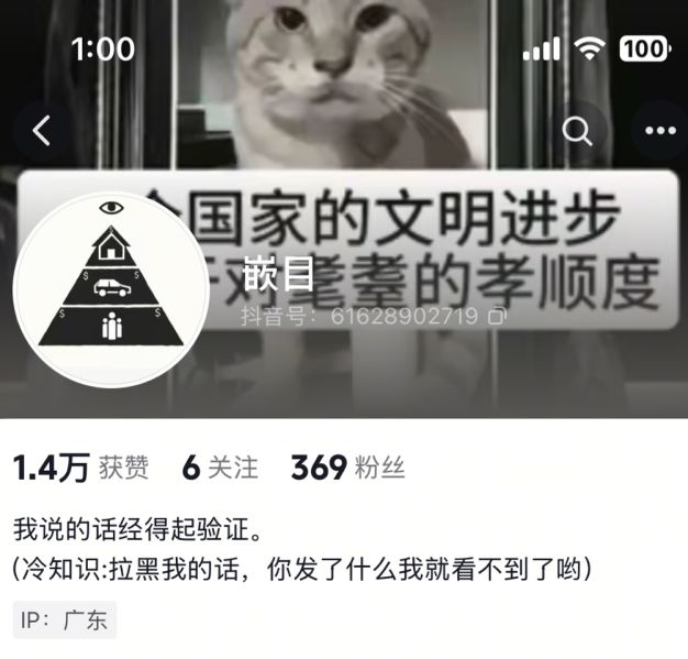 File:Douyin ID 61628902719 profile.jpg