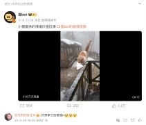 "Want to shoot aimaotv with it"