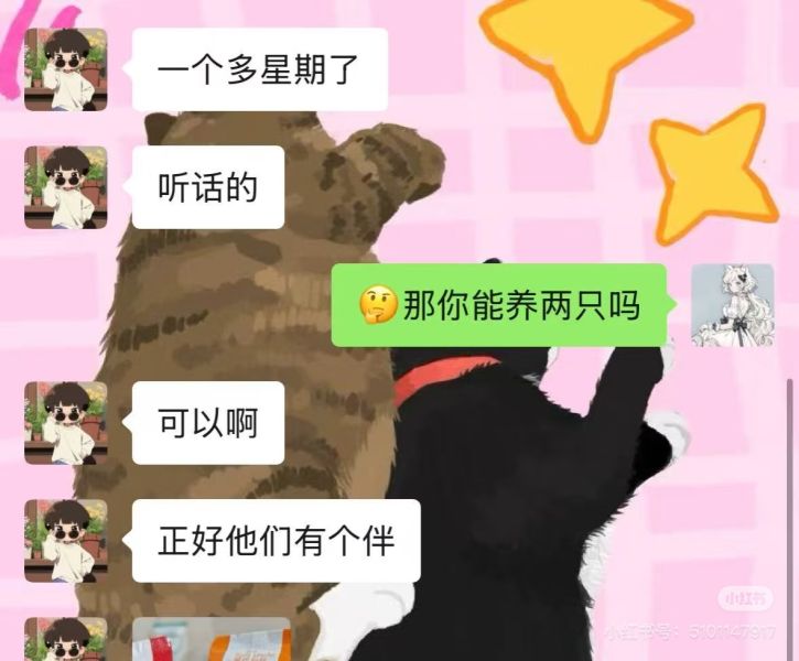 File:YangWei weixin3.jpg