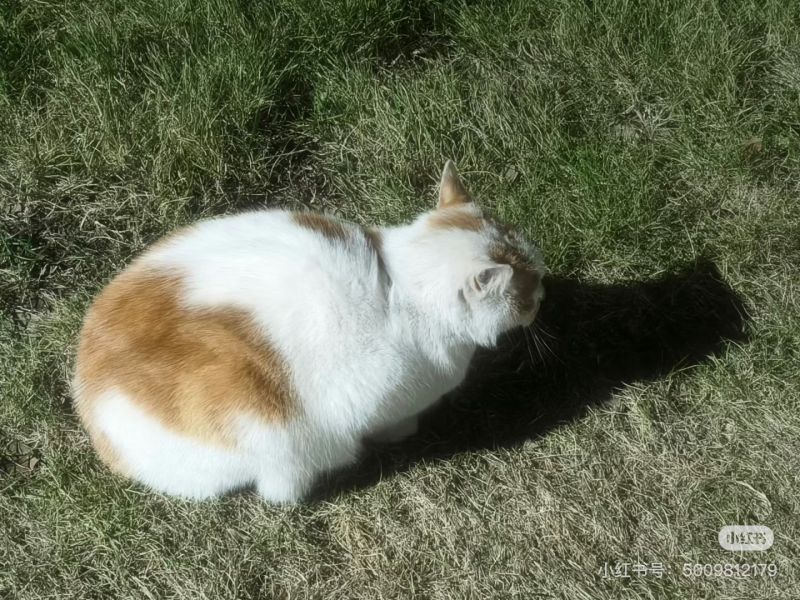 File:Xue Jie Pic 7.jpg