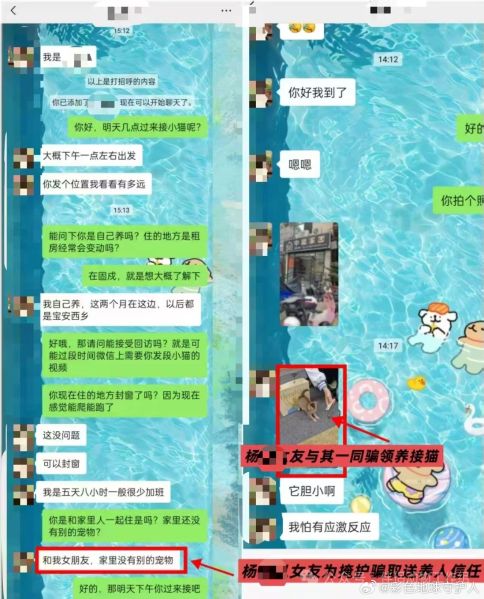 File:YangWei weixin6.jpg