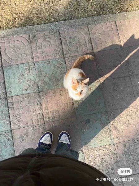 File:Xue Jie Pic 23.jpg