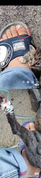 File:Li Xiang case matching toe.jpg