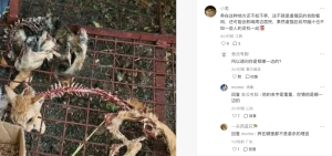 Screenshot of the relevant online activities.