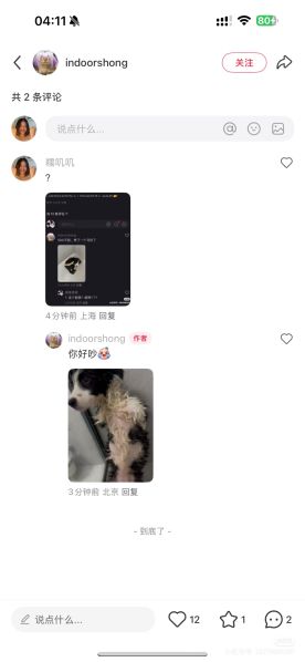 File:Xiaohongshu ID 95003574412 post 4.jpg