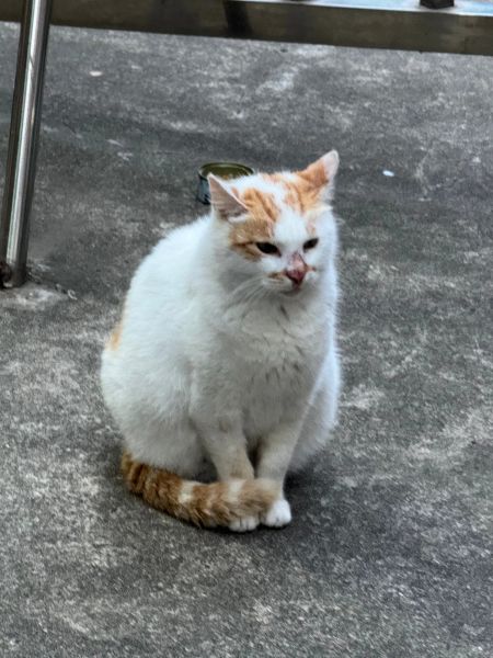 File:Xue Jie Pic 9.jpg