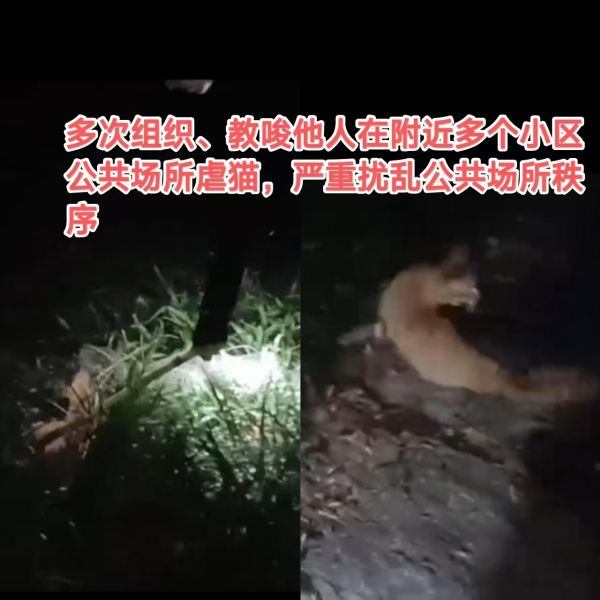 File:He Run Tian group attacks.jpg