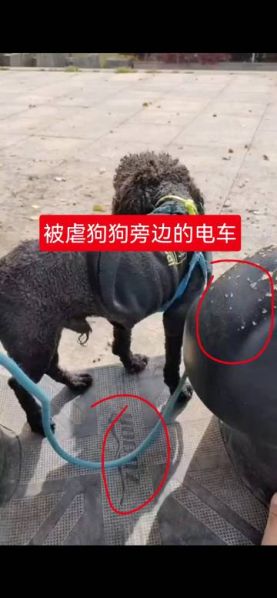 File:Li Xiang case evidence2.jpg