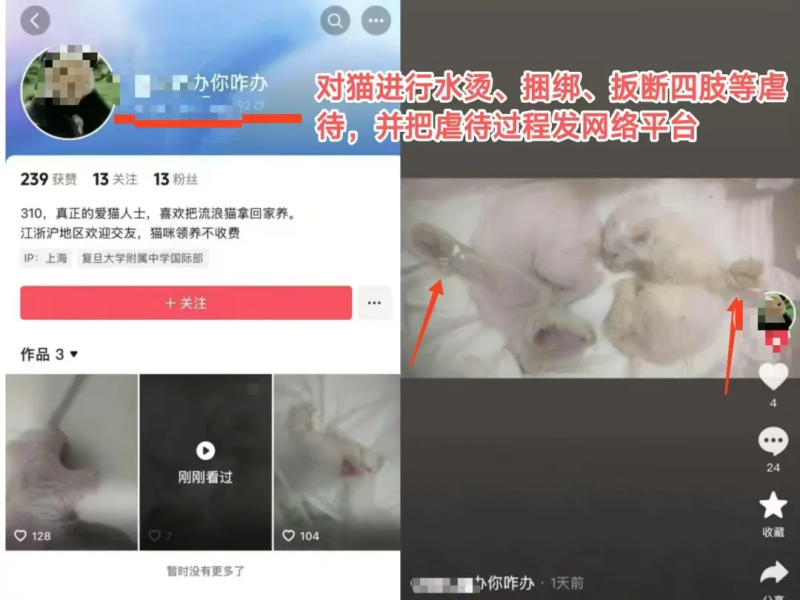 File:Douyin ID 89731062092 pic3.png