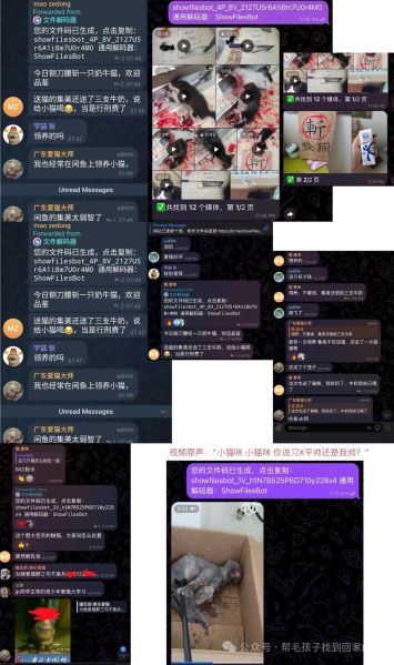 File:Jiang Xu telegram chat logs.jpg