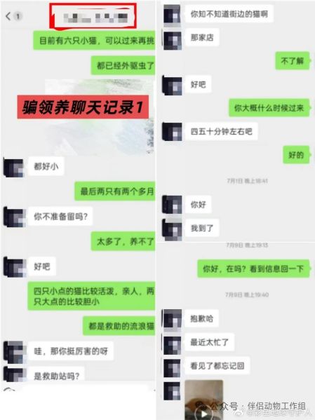 File:YangWei weixin7.jpg