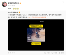 "I'm satisfied (by cat torture content)"