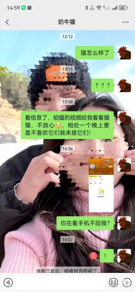 File:YangWei weixin5.jpg