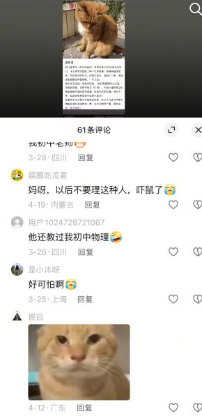 File:Douyin ID 61628902719 comment.jpg